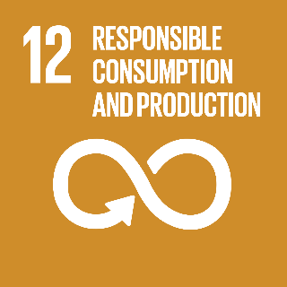 GOAL 12 – RESPONSIBLE CONSUMPTION AND PRODUCTION