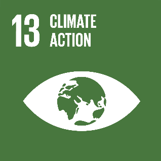 GOAL 13 – CLIMATE ACTION  Adottare misure urgenti per combattere il cambiamento climatico e le sue conseguenze